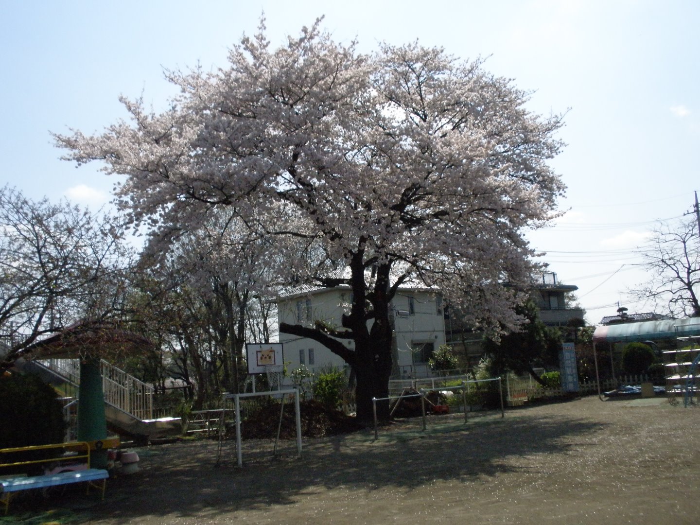 施設のご案内